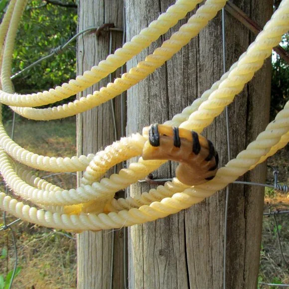 LASSO ROPE, 29 Ft BEGINNER'S POLY by CACTUS ROPES, LARIAT, CALF ROPING PRACTICE - Picture 3 of 6